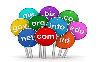 domain hosting company | Prompt Web Hosting